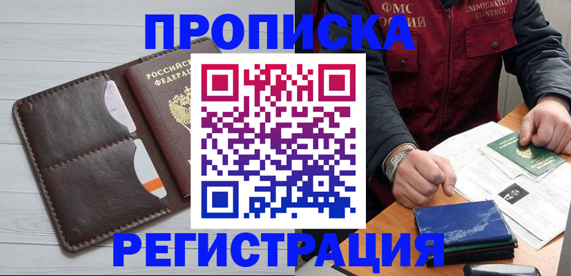 прописка 2025 в Димитровграде